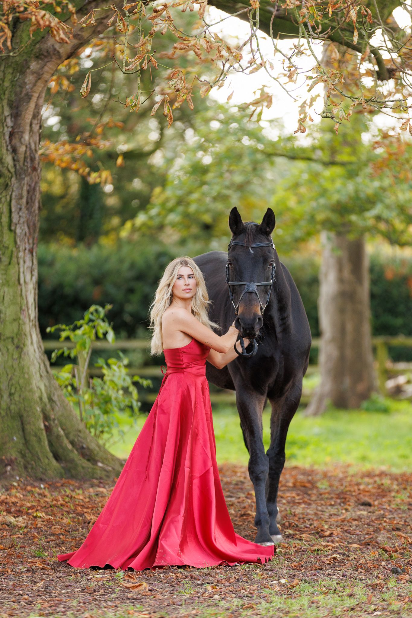 A person in a flowing red gown poses with a majestic black horse in an autumn forest setting.