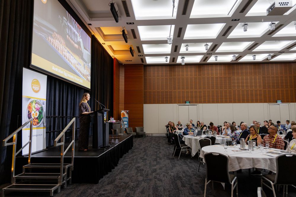 Conference attendees seated at an even