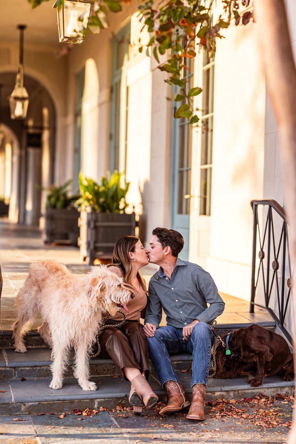 Couple shares romantic moment on stone steps with two dogs beside them in warm afternoon light.