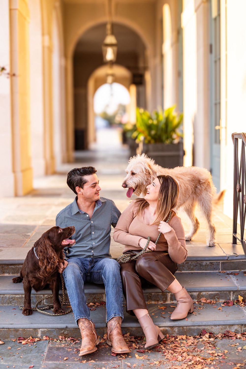 Couple relaxes on stone steps with their dogs while enjoying a sunny afternoon.