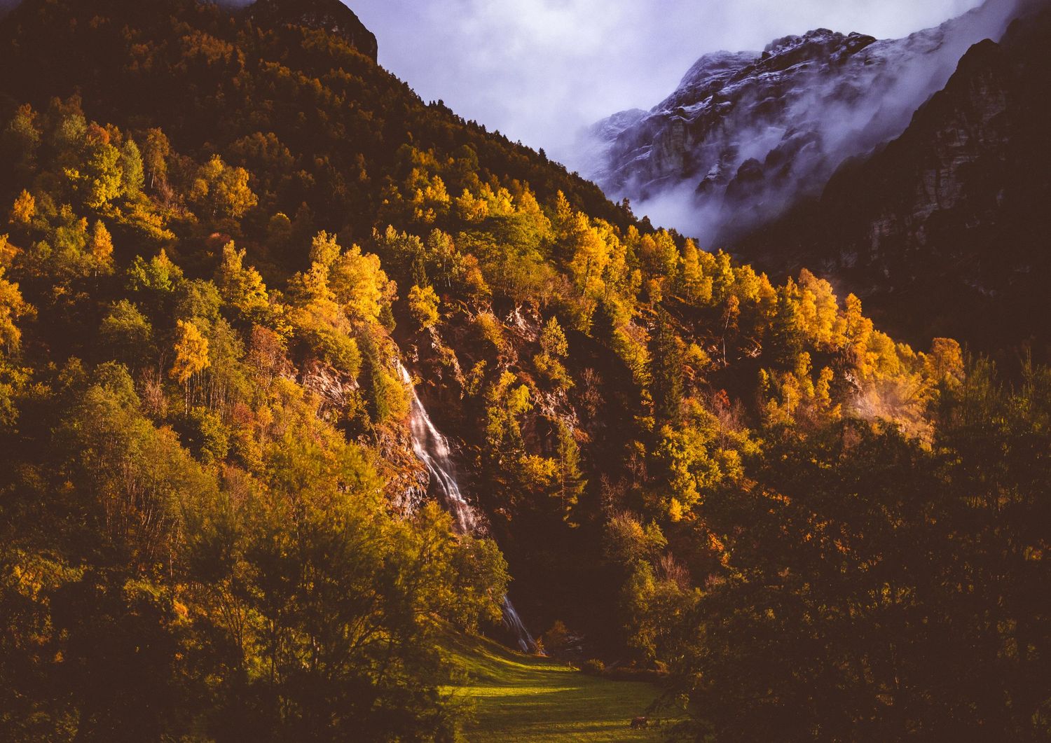 Autumn mountain landscape with golden foliage and dramatic peaks shrouded in misty clouds.