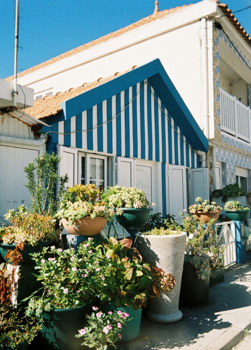 A row of white beach cabanas with blue striped roofs and potted plants along a sunny Mediterranean walkway.