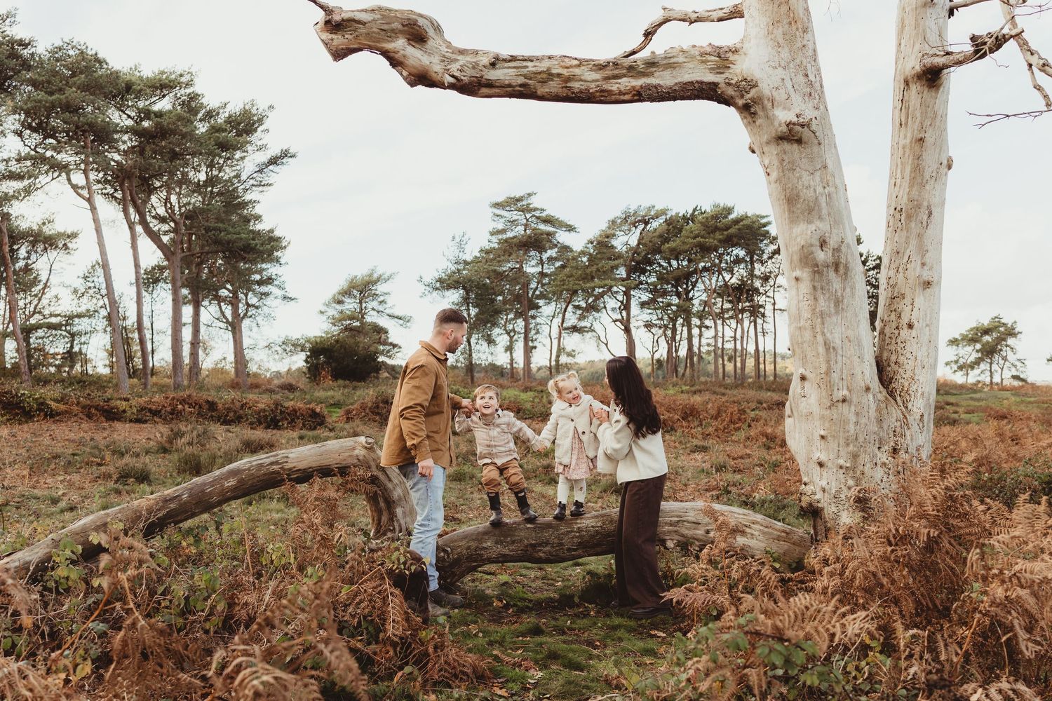 A couple embraces under a large tree branch in a rustic outdoor setting during golden hour.