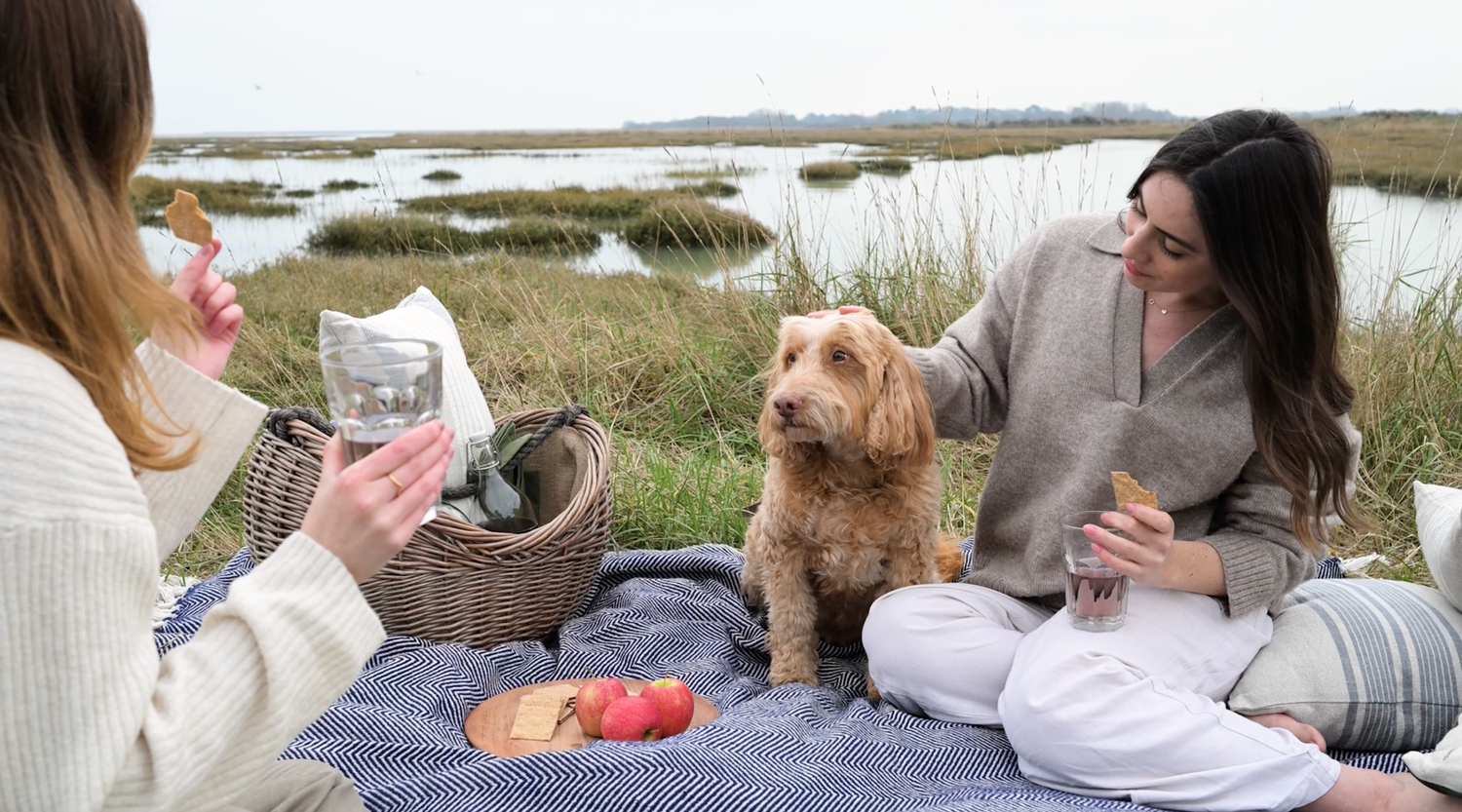 A group of people relaxing outdoors on blankets while having a picnic near a marsh on a sunny day.