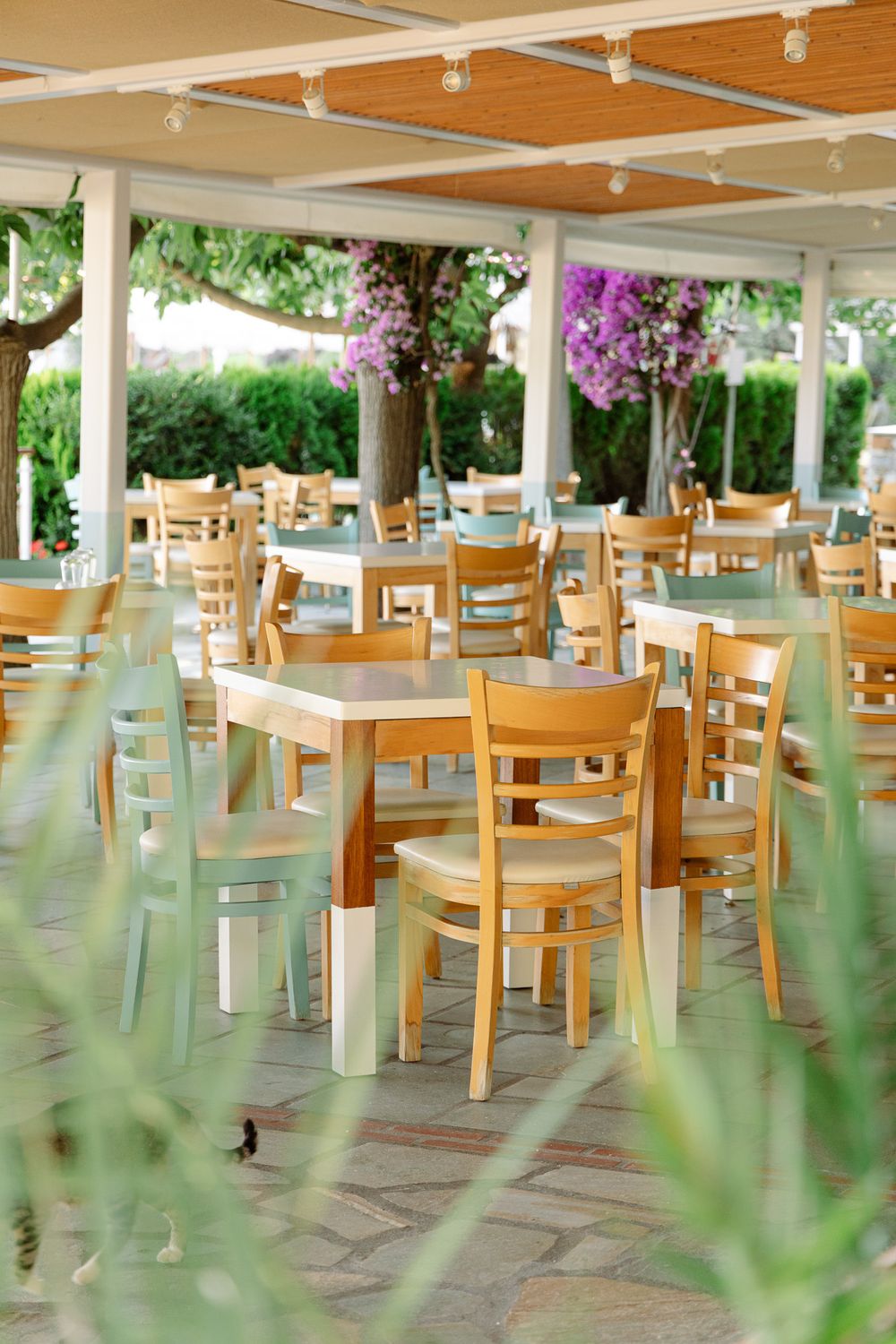 Outdoor dining area with wooden tables and greenery, photographed in natural daylight.