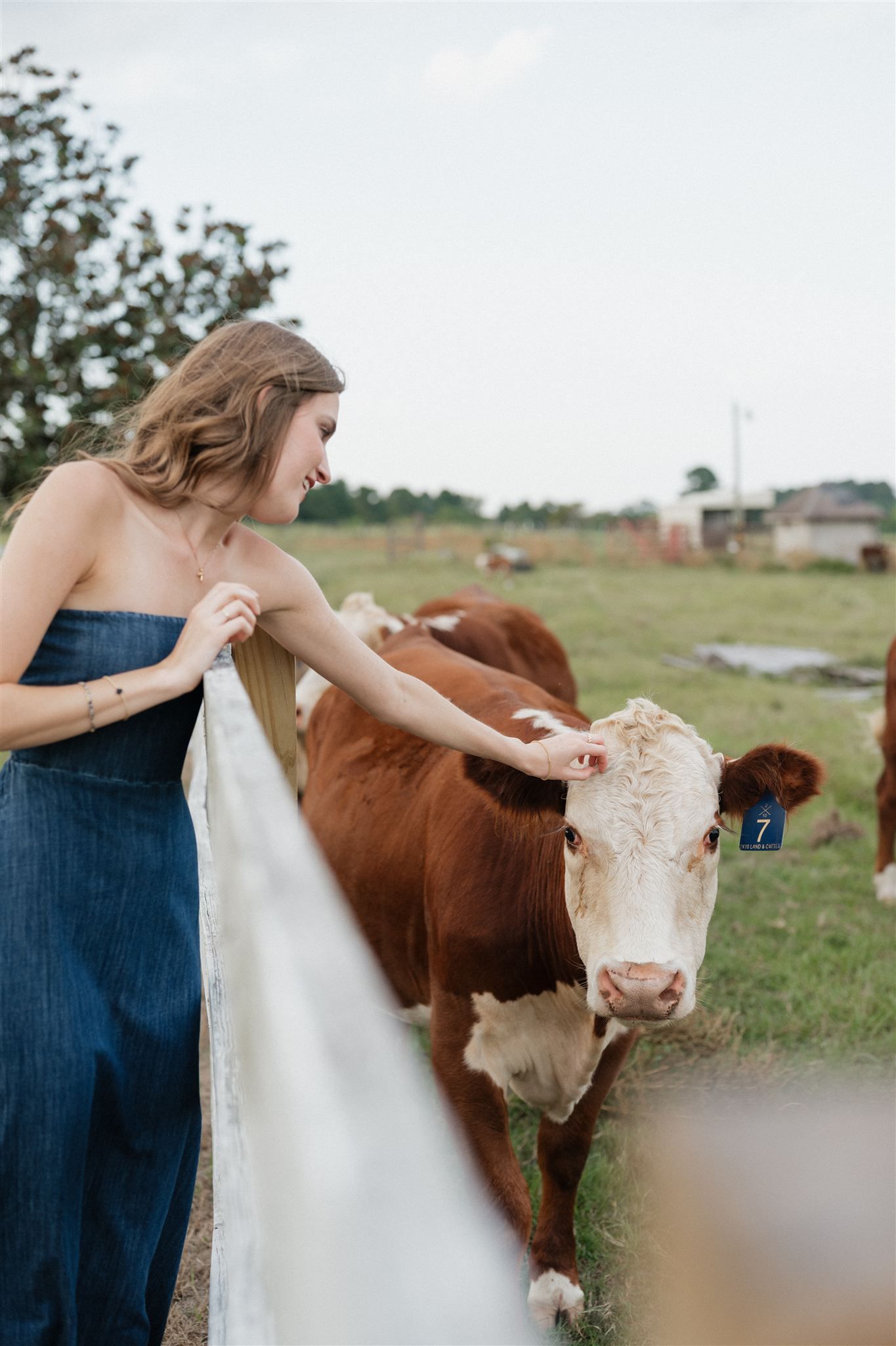 The Woodlands High School senior girl in a denim dress posing for pictures in Magnolia, Texas