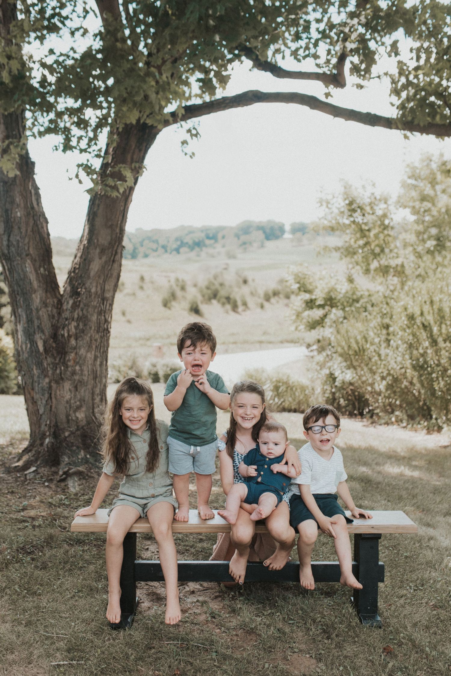 Children sit together on a wooden bench under a large tree on a scenic hillside during a sunny afternoon.