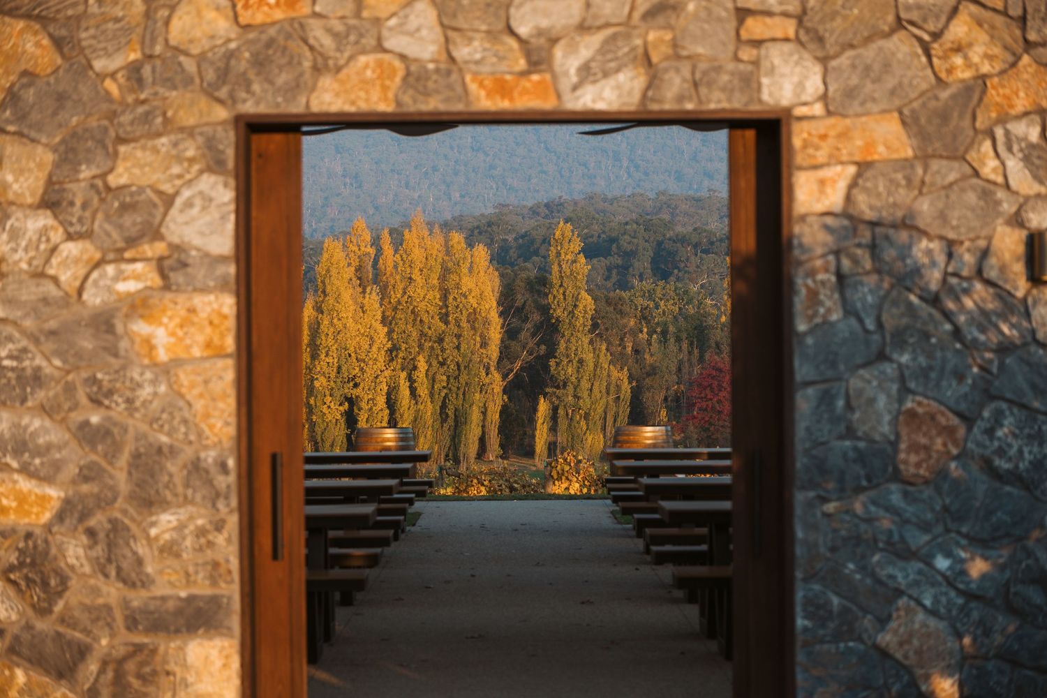 Winery and hospitality photography capturing vineyard views framed through contemporary architectural design