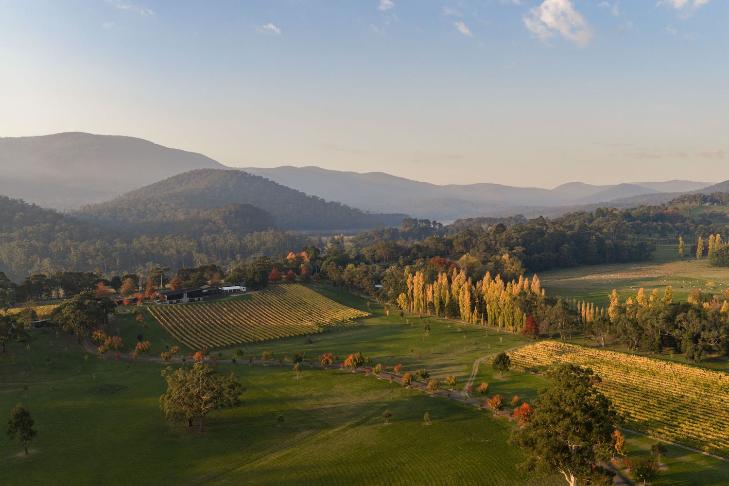 Yarra Valley aerial photography capturing vineyards, rolling hills and regional tourism landscape at golden hour