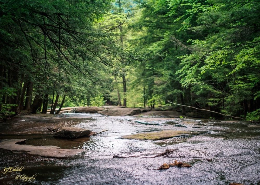 Adirondack creek