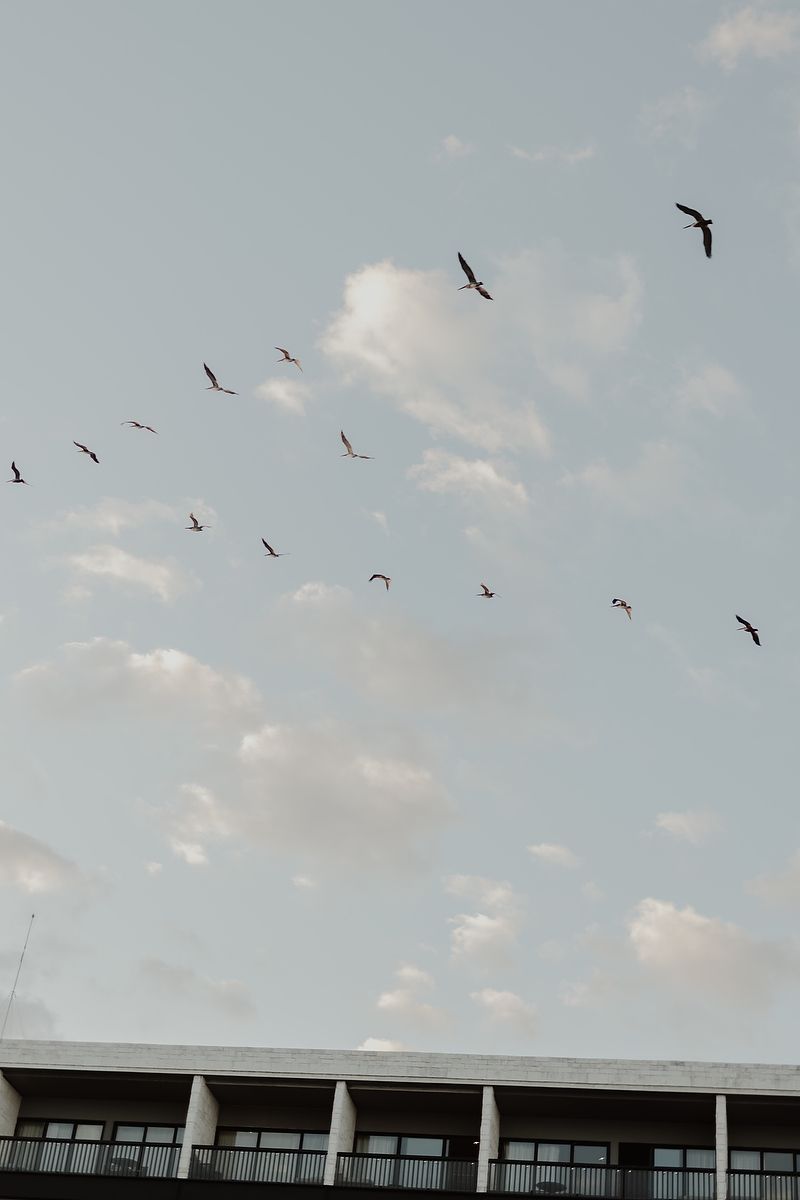 Birds flying above the Caribbean sky during an engagement session in Playa del Carmen.