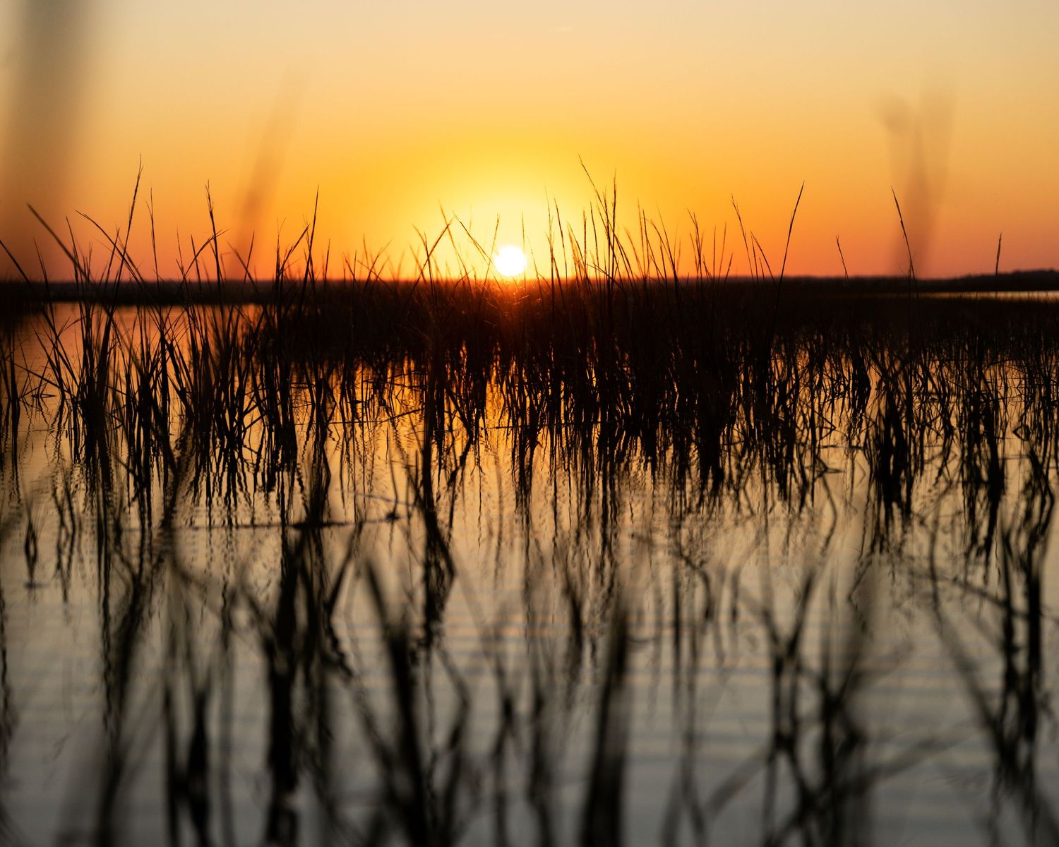 Landscape: St Marys River Sunset