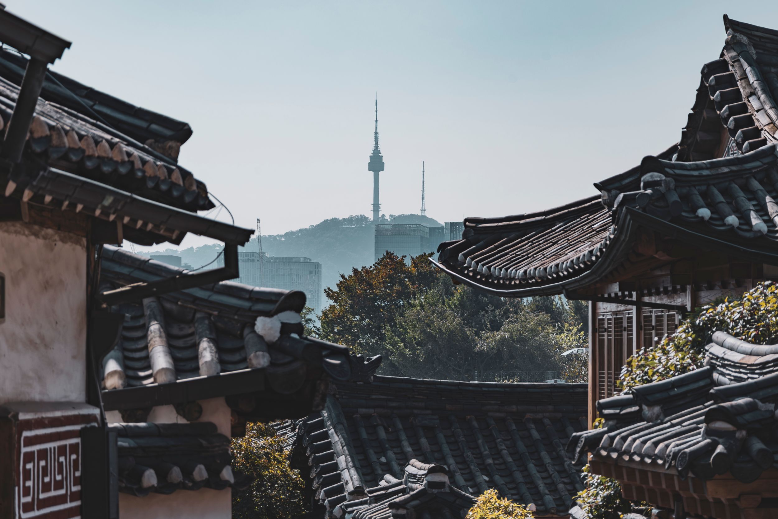Avontuur Seoul + Tokyo - Byjorinapeene