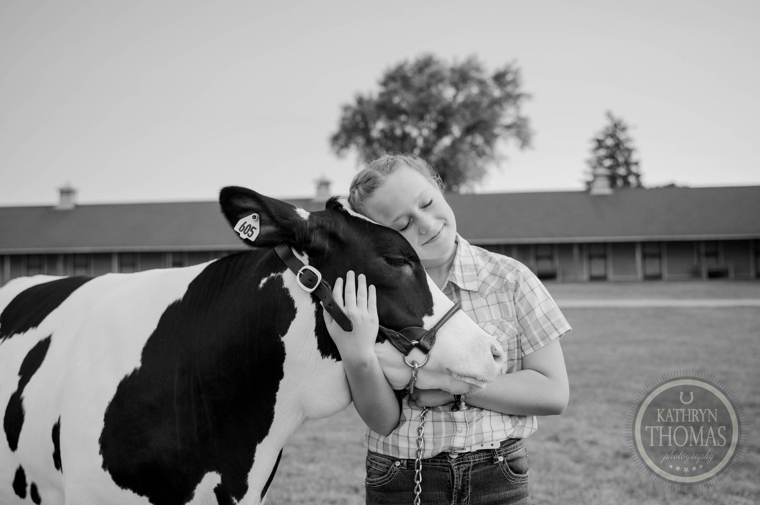 Black and white portrait showing tender moment between handler and dairy cow.
