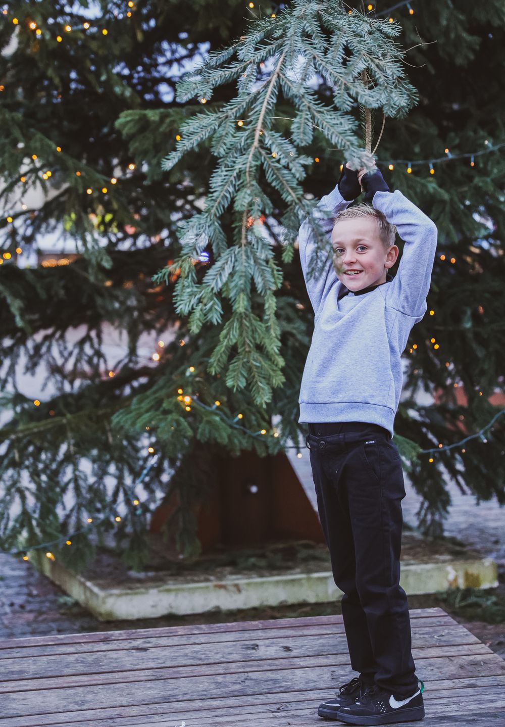 Child in a gray sweatshirt playing under an evergreen tree with twinkling lights in the background.