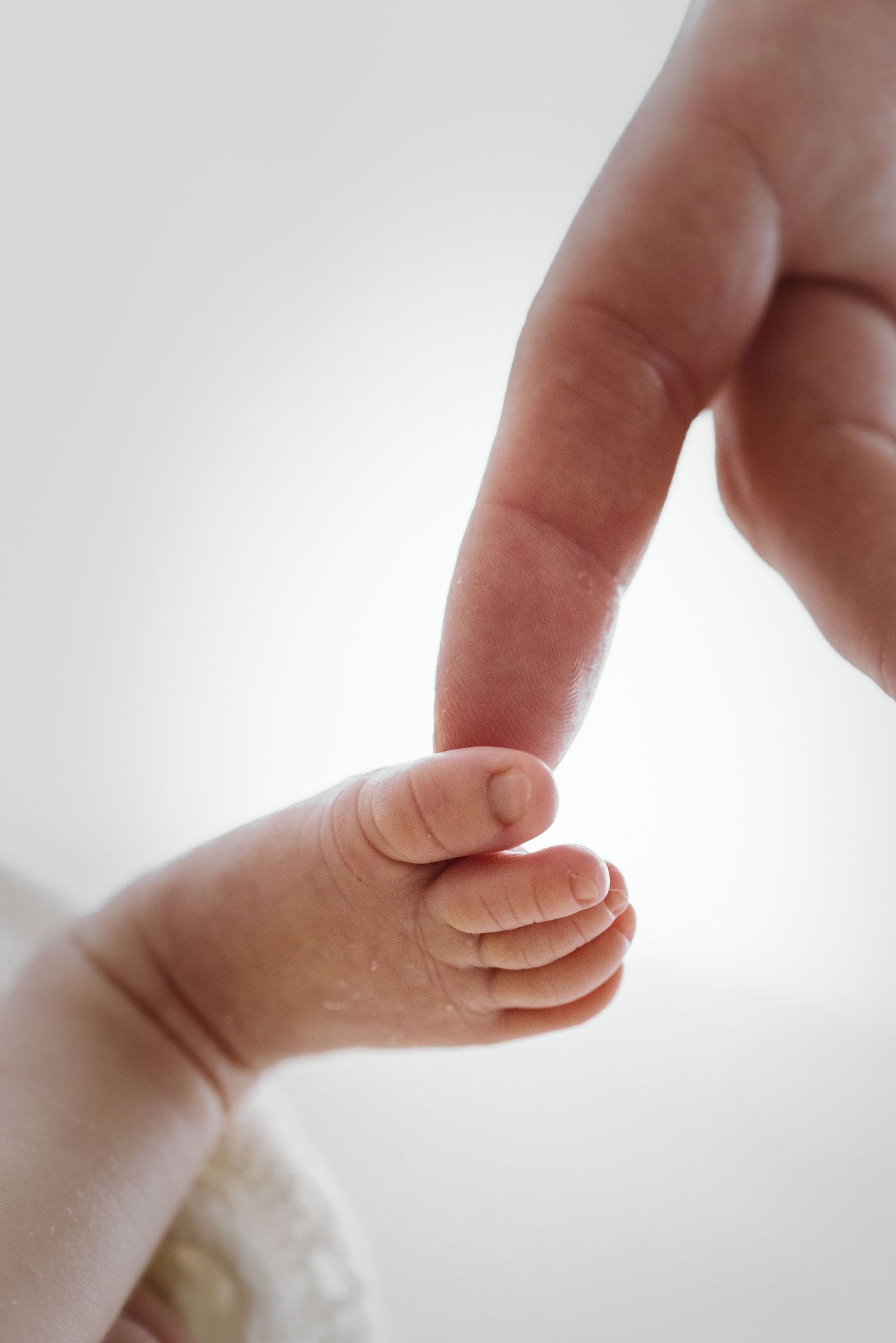 Close-up photo of a tiny baby foot with delicate toes against a soft white background.