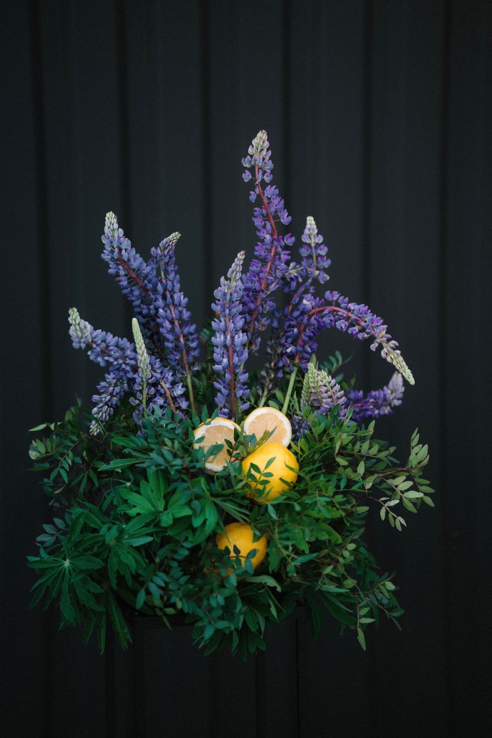 Dramatic floral display featuring purple lupines and yellow blooms against dark background.