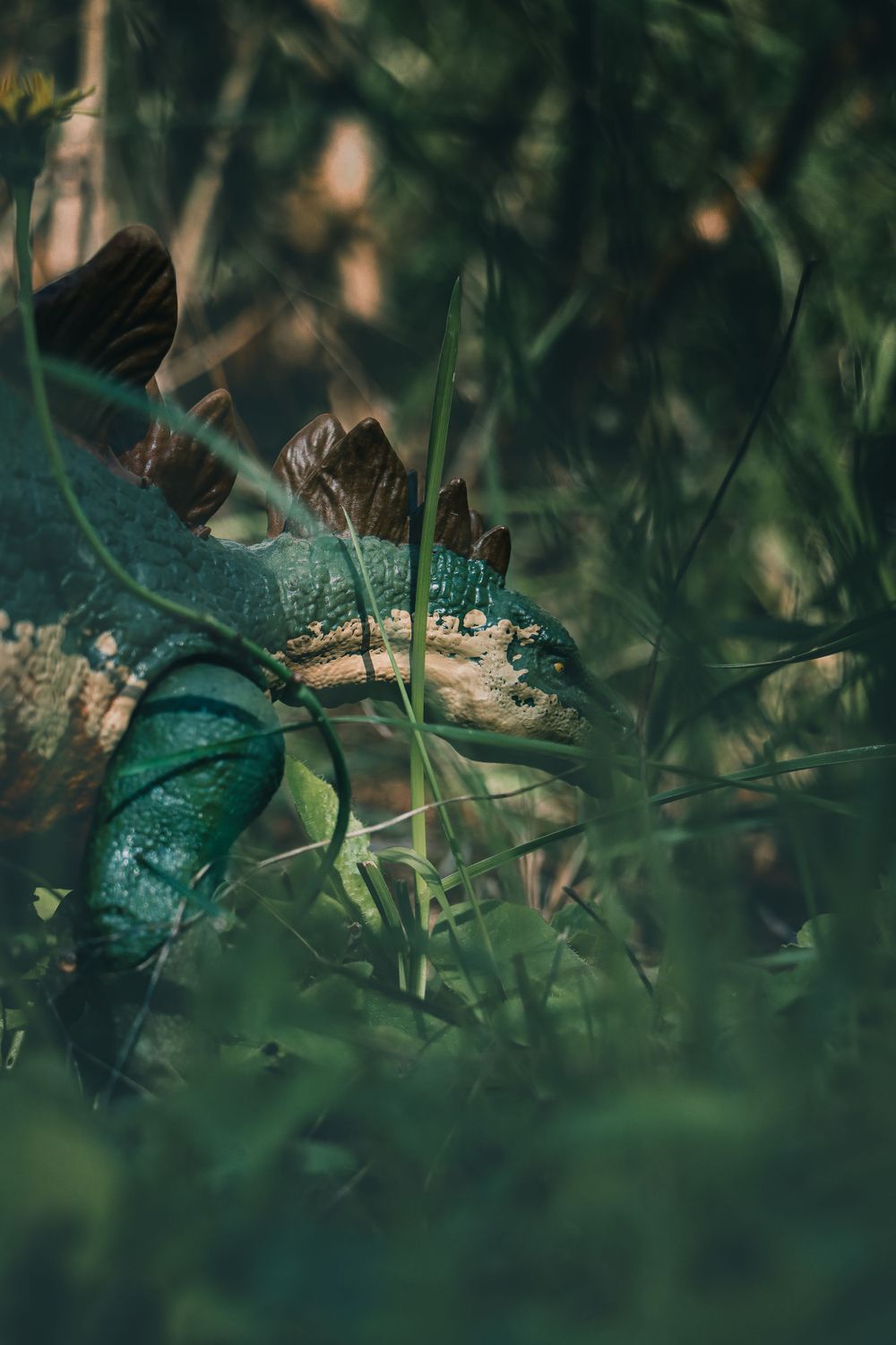 A mushroom with turquoise tones grows among green grass, creating a magical forest floor atmosphere.