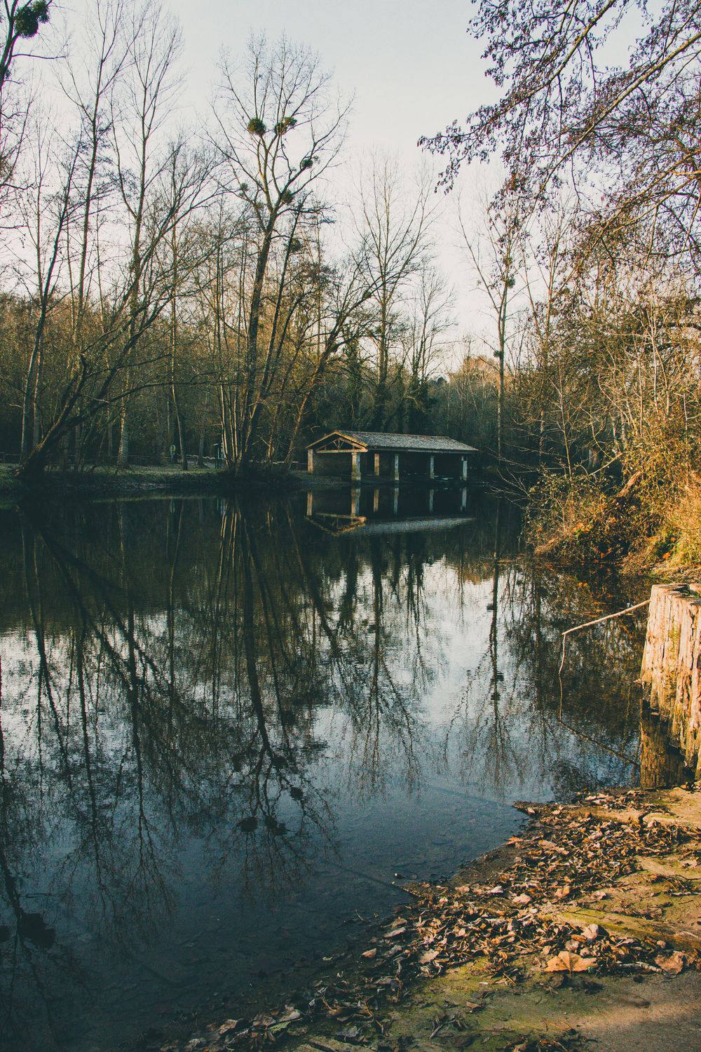 A tranquil lake reflects bare winter trees and a small wooden boathouse in the calm water during golden hour.