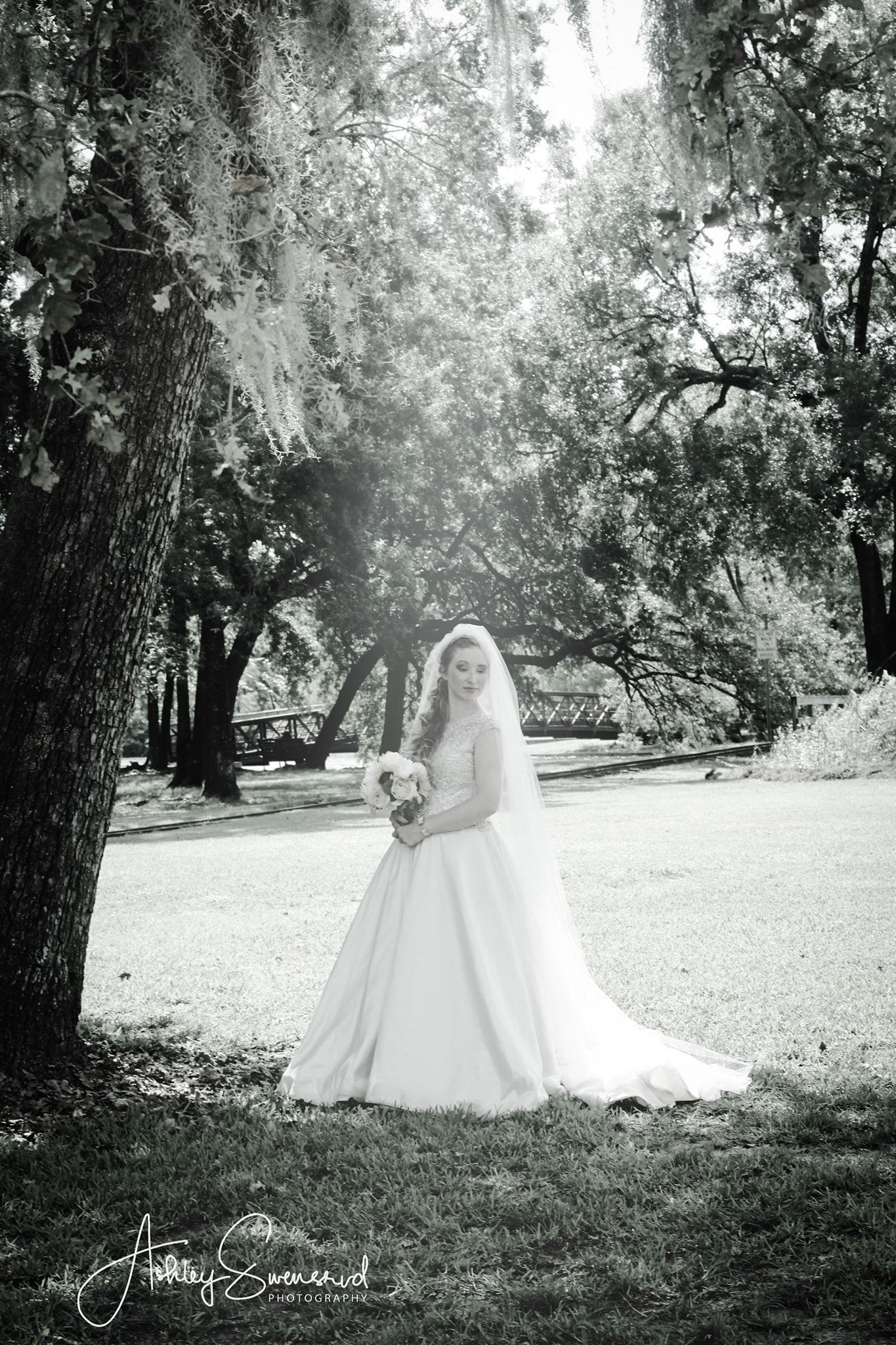 Elegant black and white bridal portrait of a bride in a ball gown standing under moss-draped oak trees.