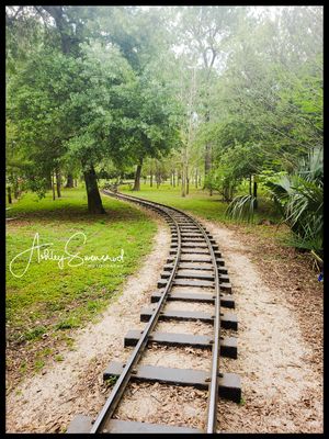 A winding narrow-gauge railway track curves through a lush green park with tall trees.