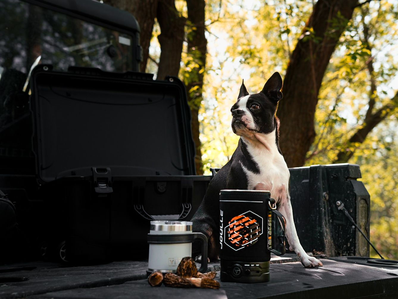 Coffee brewing setup outdoors with autumn trees in background.