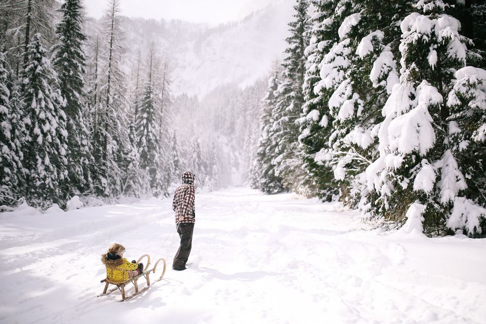 Snow-covered dreamy winter forest trail with adventurer pulling a yellow sled through towering evergreen trees.