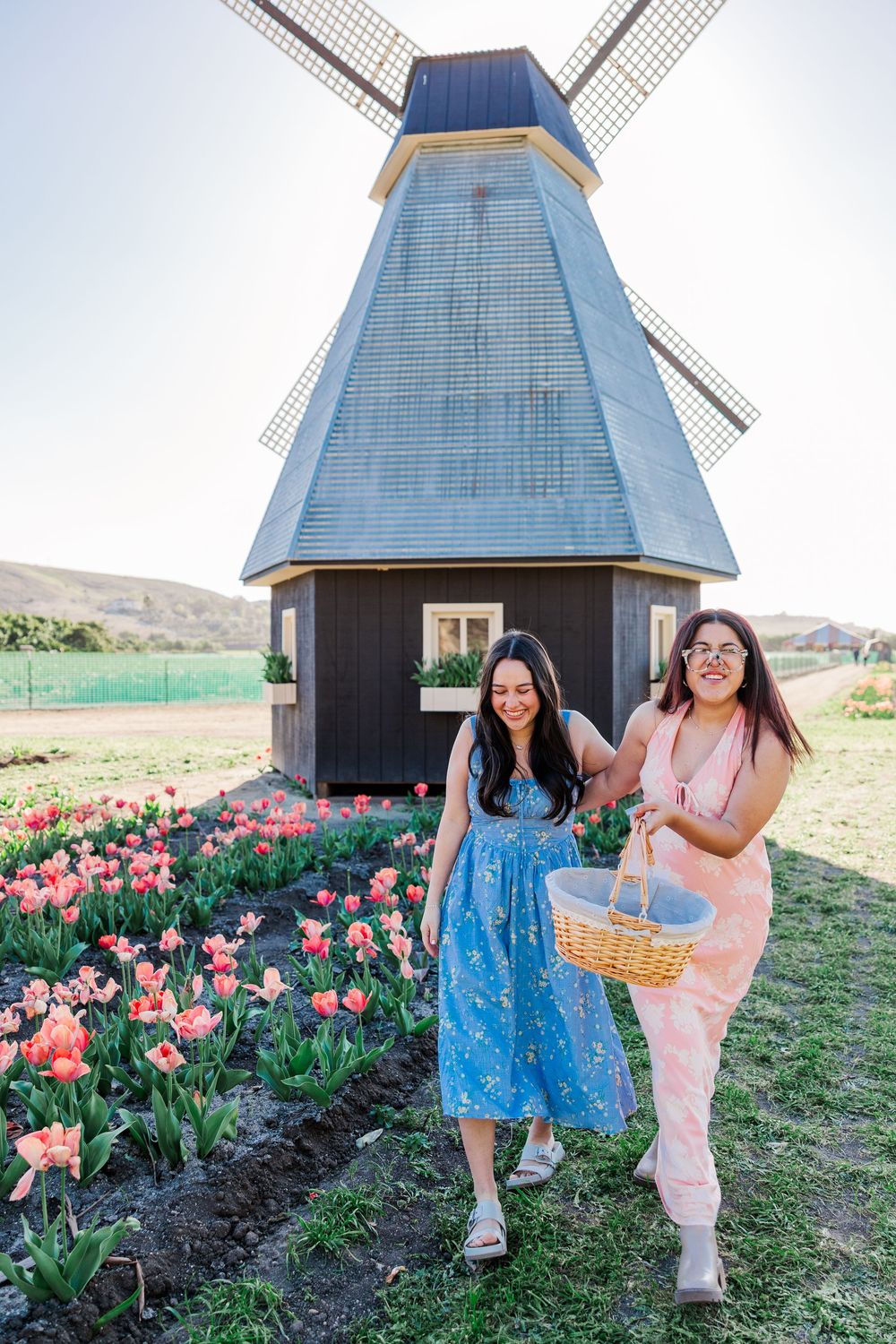 Scenic spring tulip garden with a white windmill structure in the background surrounded by colorful blooming flowers.
