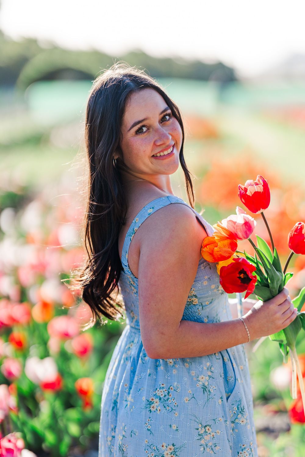 Woman in blue floral dress picks vibrant red tulips in a sunny spring garden field.
