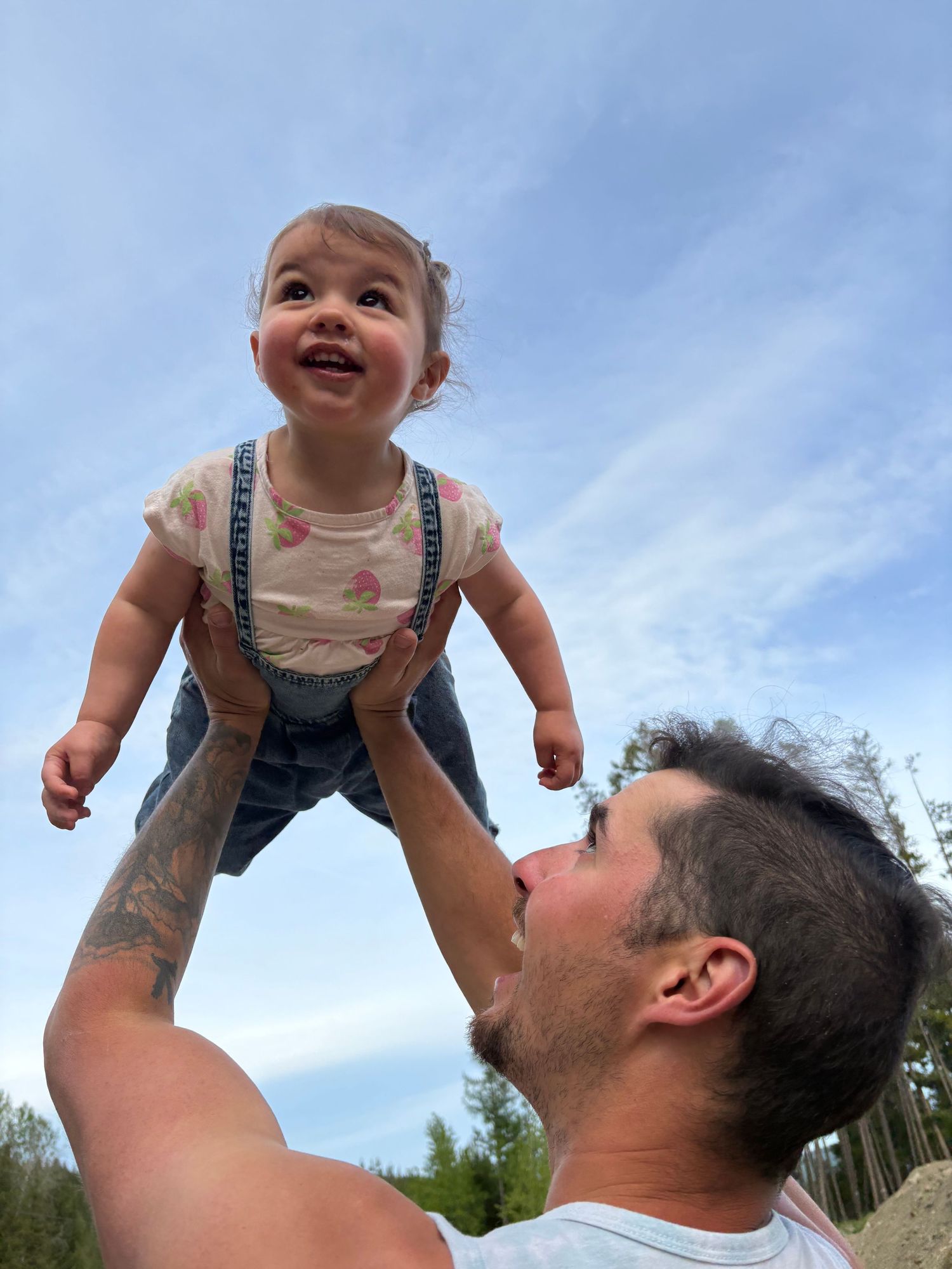 Small child wearing overalls being lifted into blue skies against a backdrop of trees by an adult during outdoor playtime.
