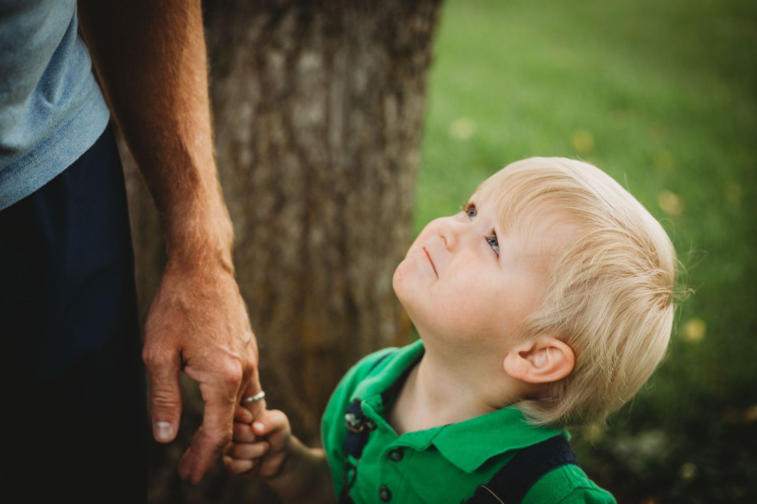 A child in a green shirt looks up admiringly while holding an adult's hand next to a tree.