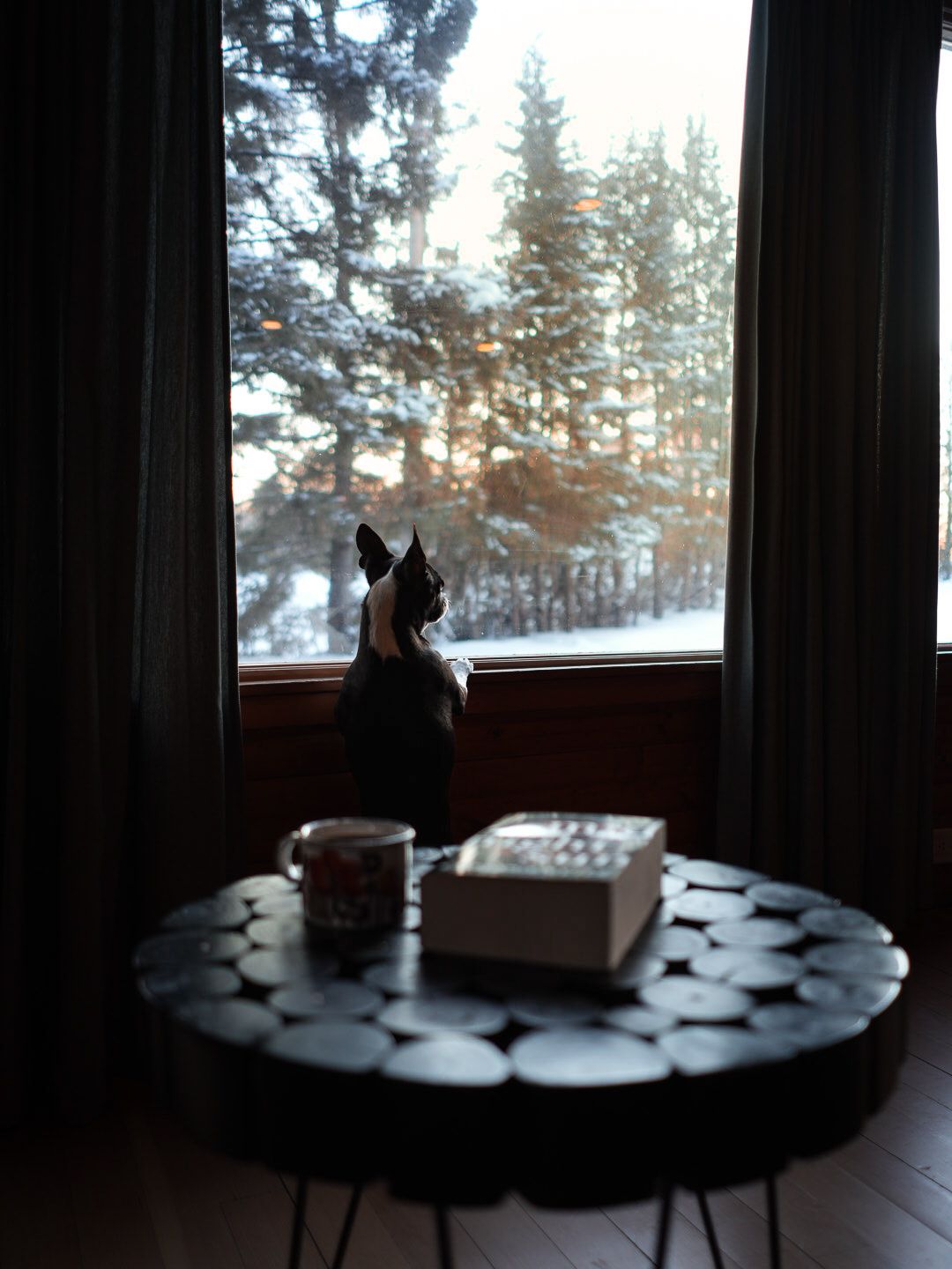 Silhouetted table setting by a window overlooking a snowy winter landscape.