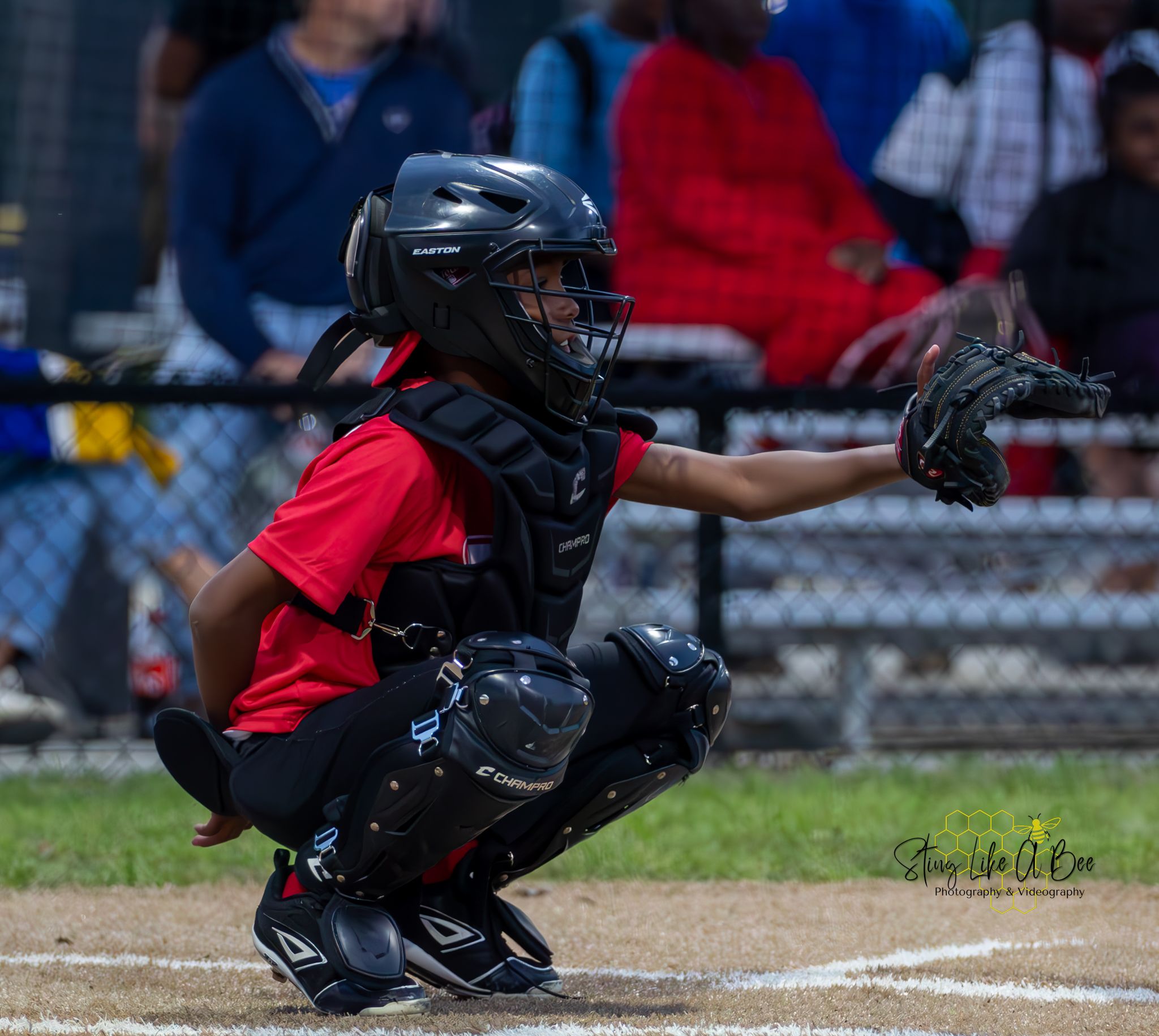 Sports photography, baseball