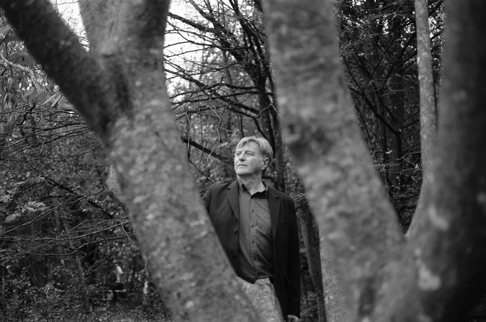 A black and white photograph through tree trunks shows someone looking upward in a forest setting.
