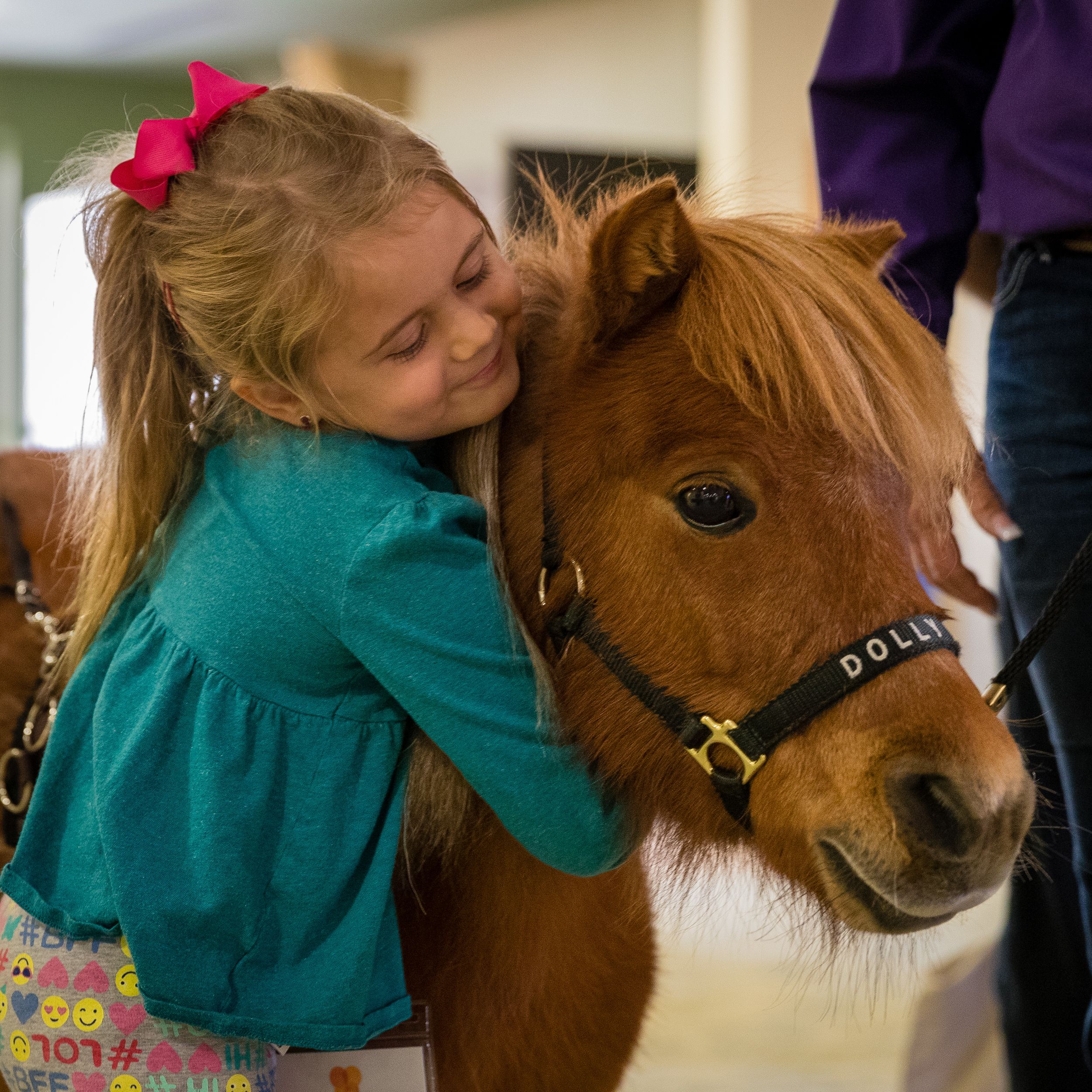 A young person in a teal dress hugs and snuggles with a brown pony wearing a halter during an indoor interaction.