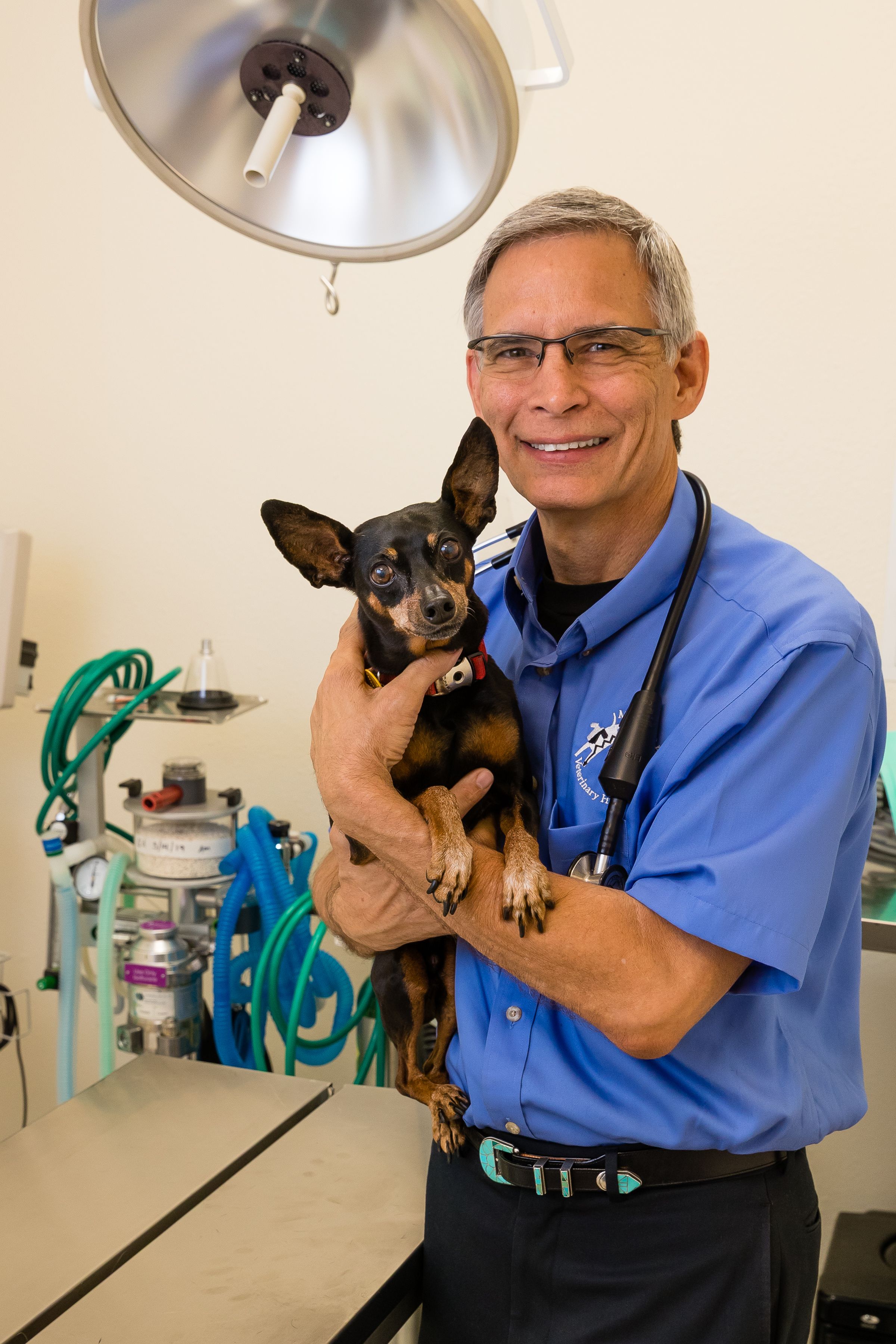 Veterinarian in blue scrubs examining a small brown and black puppy in an examination room with medical equipment.