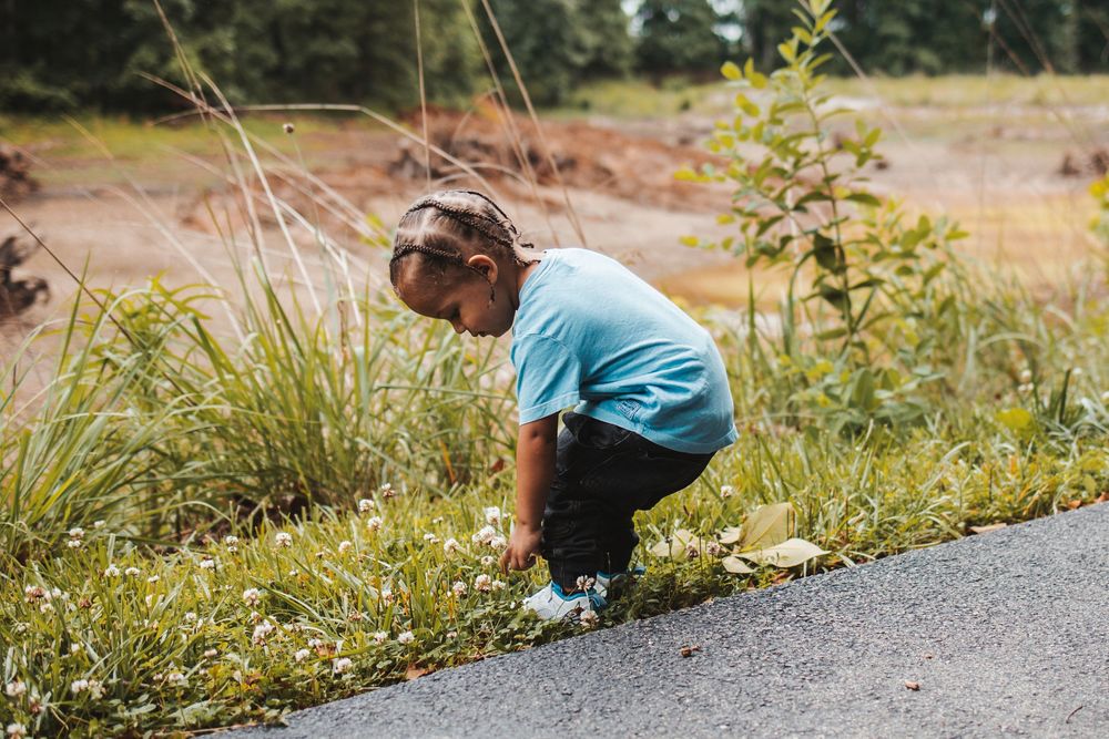 A small figure in a light blue shirt bends down to explore something along a rural road on a sunny day.