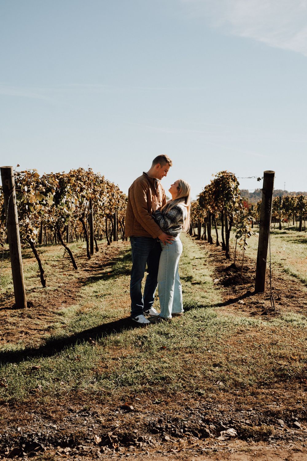 Couple embracing between rows of grapevines at winery during engagement shoot.
