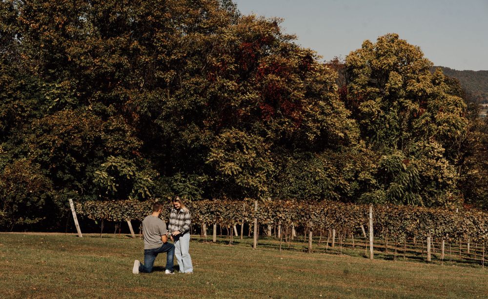 Couple enjoying autumn day together in scenic vineyard landscape.