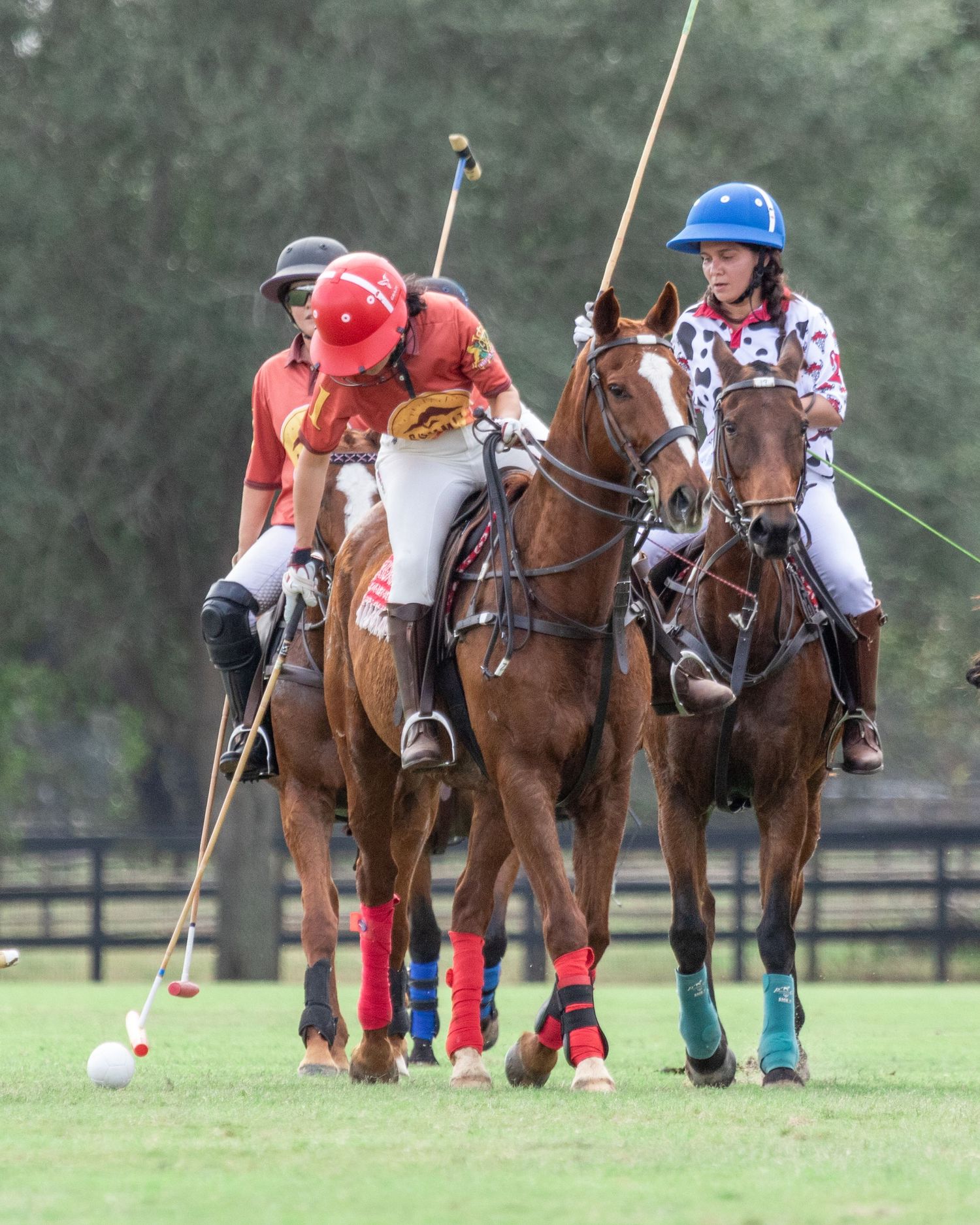 Polo