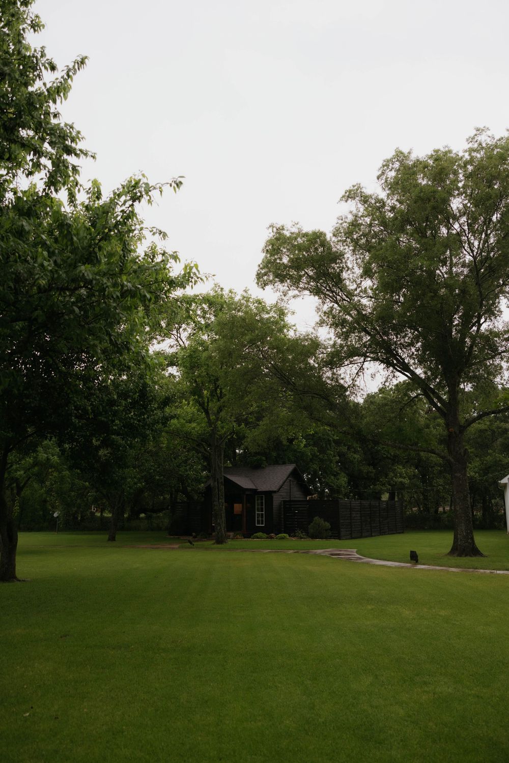 Dark cabin surrounded by lush green trees on a cloudy overcast day.