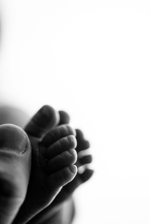 Artistic black and white close-up photo of tiny baby feet against white background.