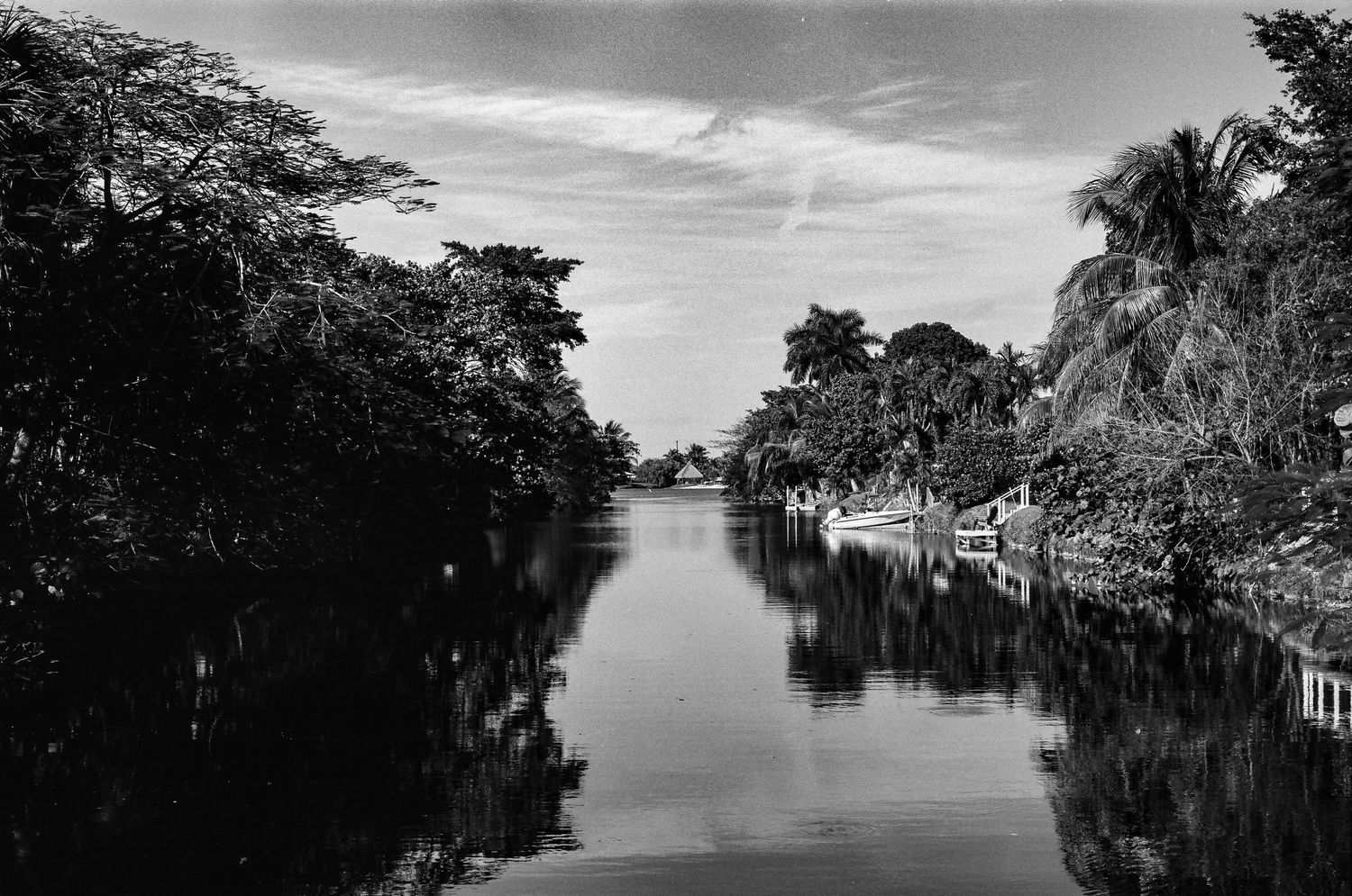Monochrome landscape of a waterway with tropical vegetation and buildings along the banks.