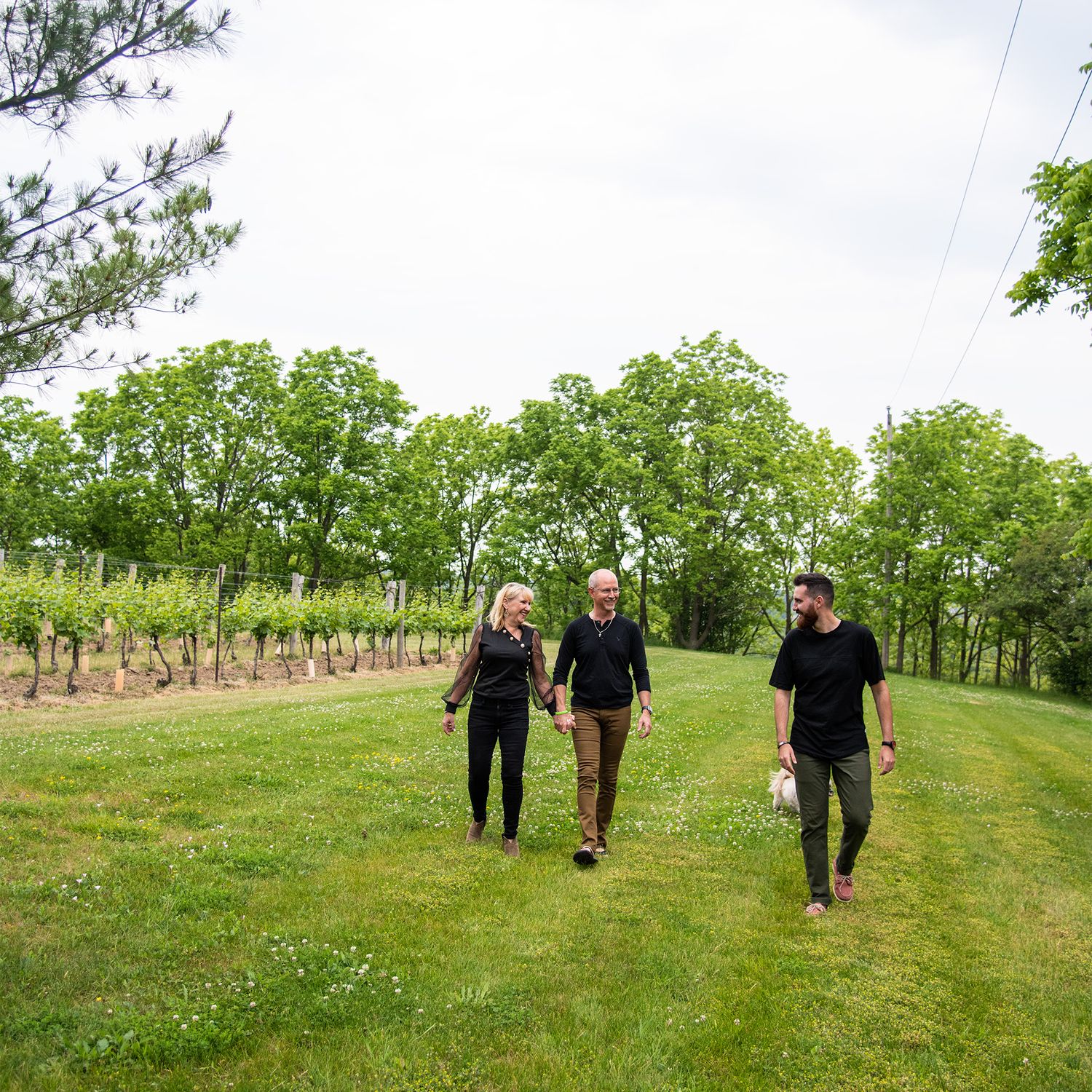 Three people walking together on a grassy field alongside a vineyard with trees in the background.