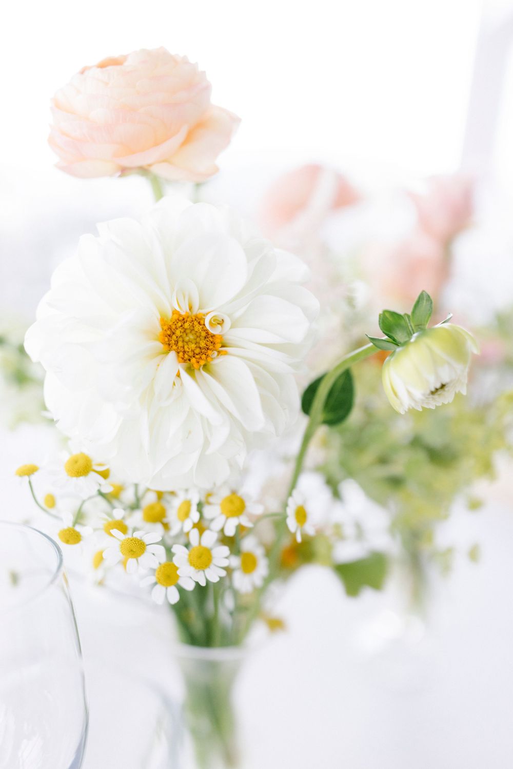Delicate white and blush flowers in a vase featuring daisies and garden roses against a bright background.