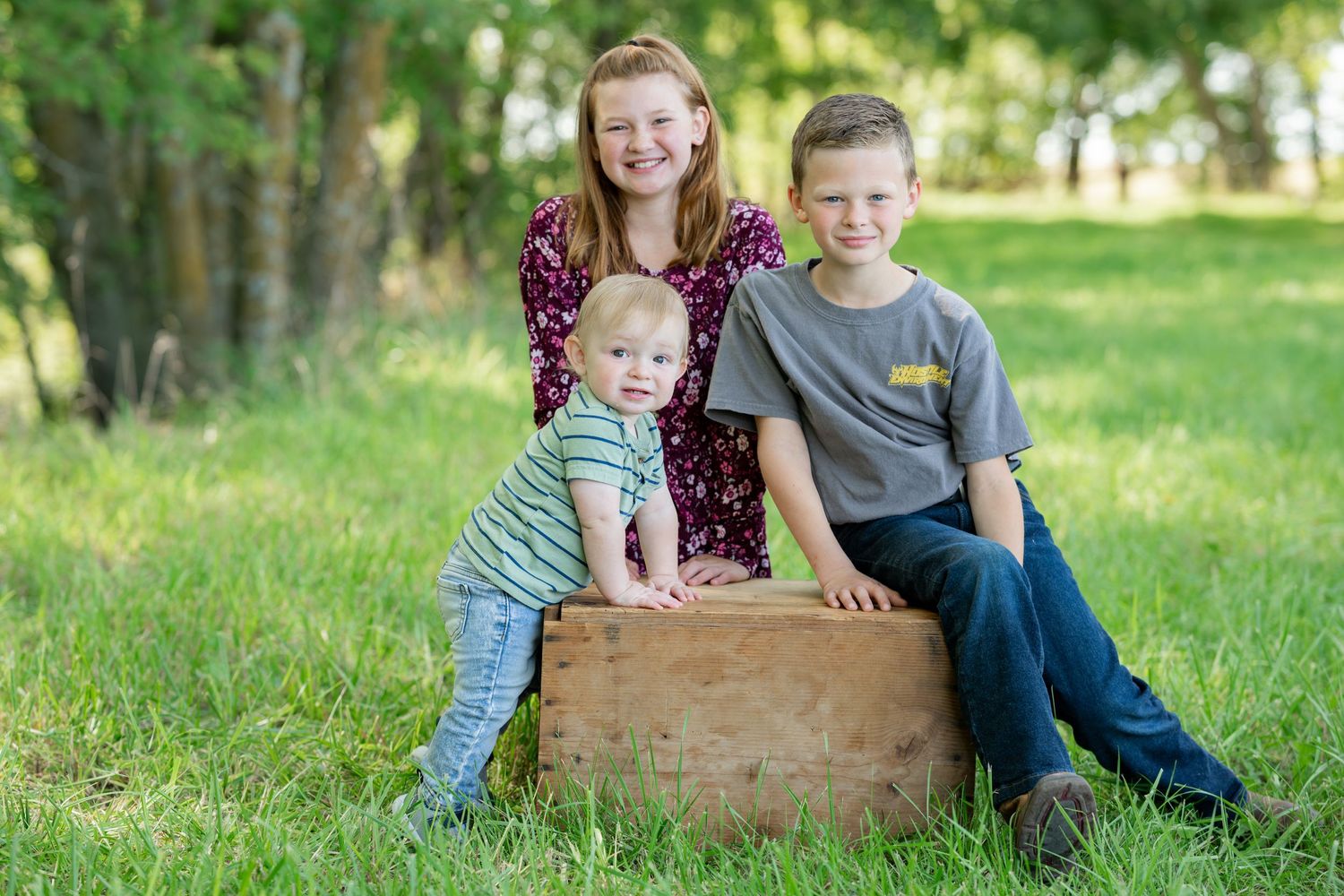 Family portrait with siblings sitting on a rustic wooden crate in a sun-dappled park setting.