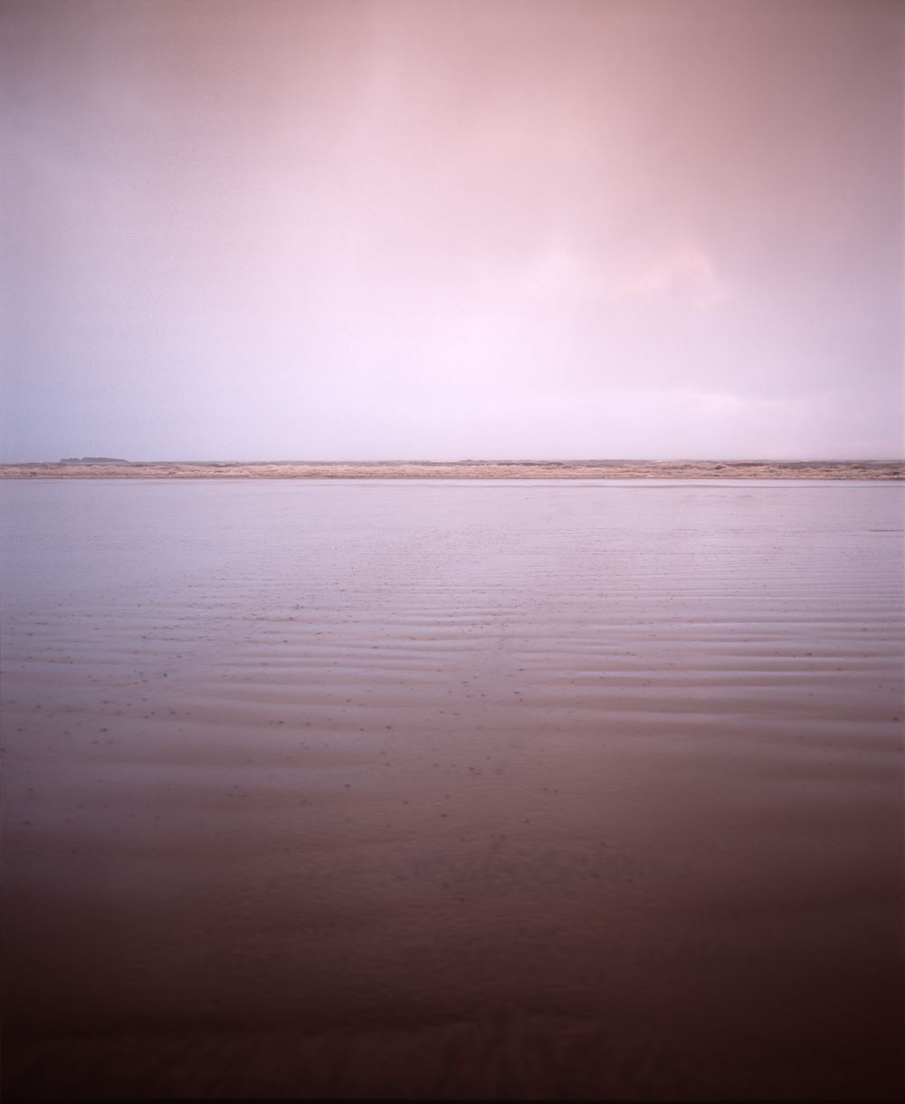 Pink-tinted misty seascape stretches to the horizon in ethereal lighting.