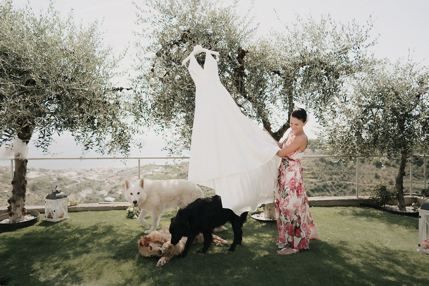 Preparazione della sposa in Liguria con abito da sposa appeso tra gli ulivi prima del matrimonio