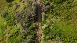 Aerial view of lush green terraced rice fields on mountainous slopes with traditional farming methods.