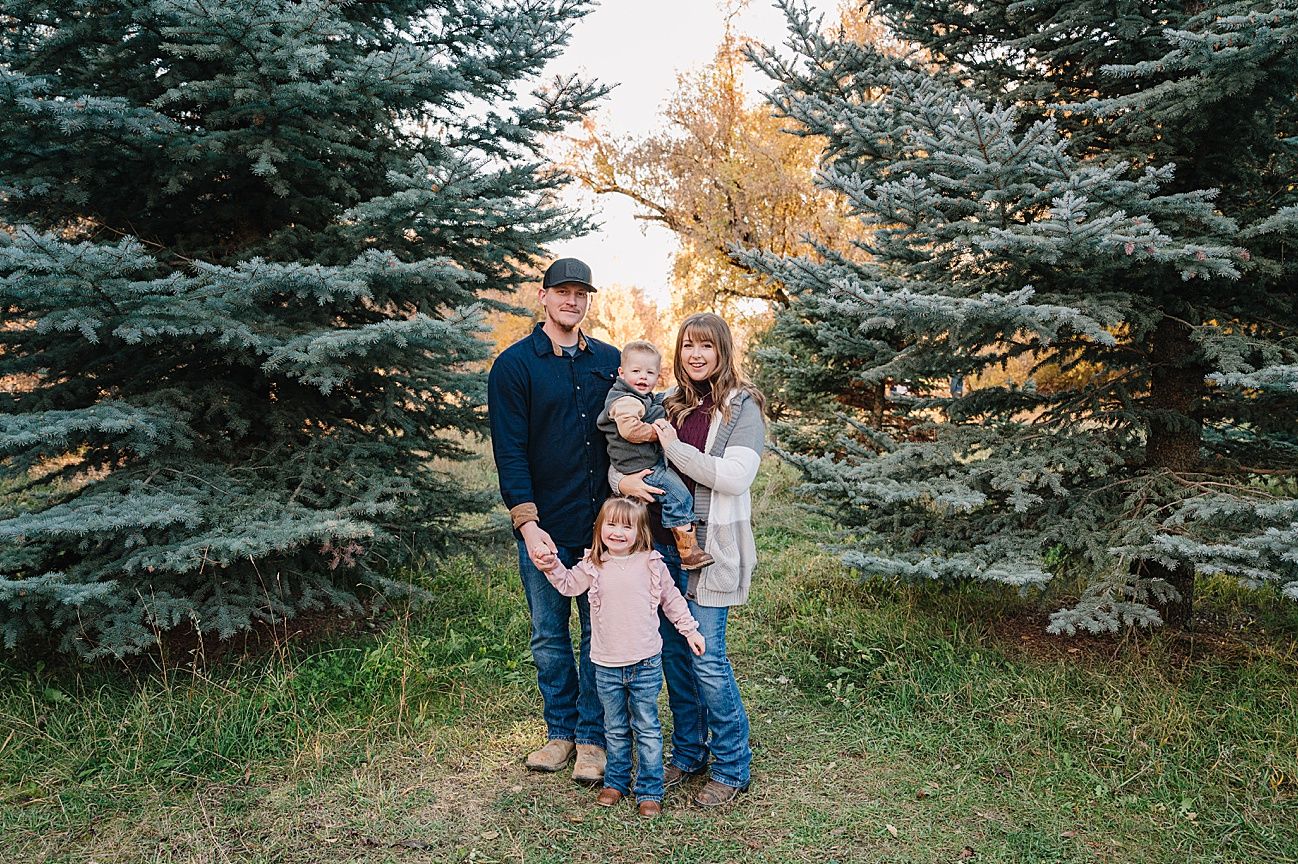 Family portrait session in front of blue spruce trees during golden hour sunset in autumn.